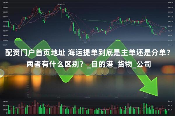 配资门户首页地址 海运提单到底是主单还是分单？ 两者有什么区别？_目的港_货物_公司